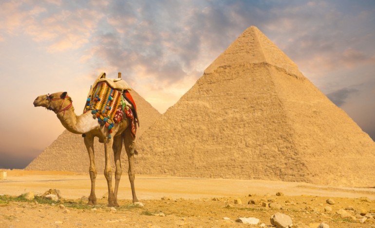 What S The Est Method To Send Money Egypt
